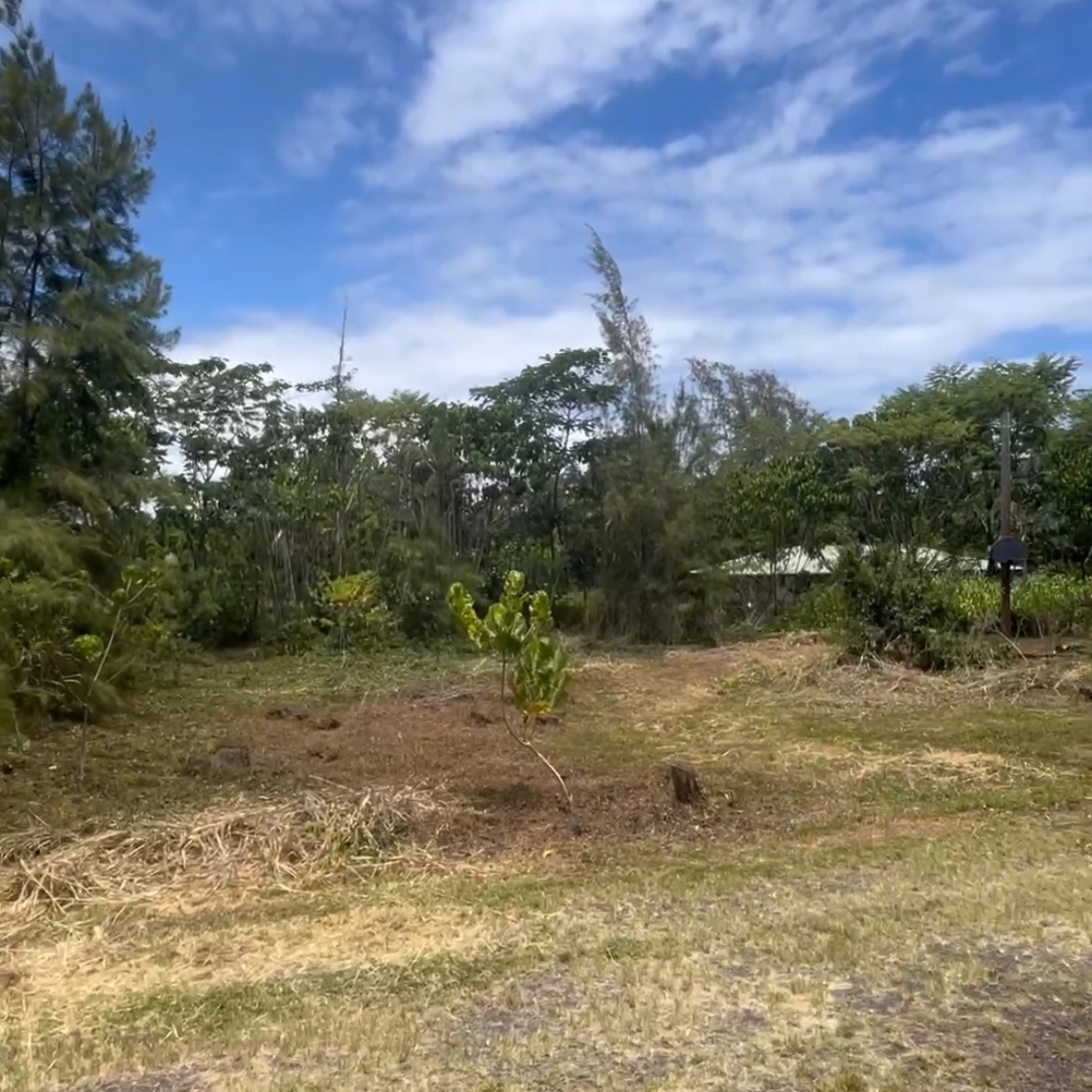 After: cleared lot